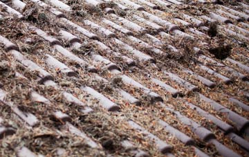 Barrock roof cleaning companies