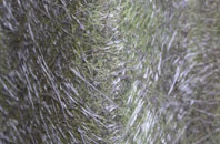 Barrock fibreglass roof work